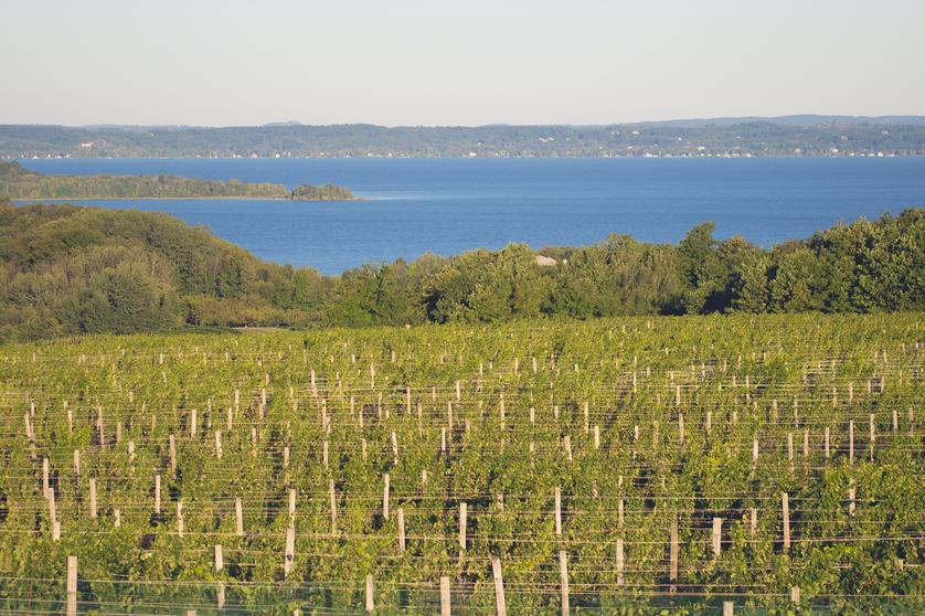 traverse city wine and beer tours promo code